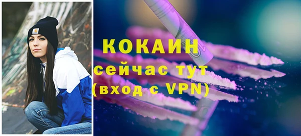 крисы Армянск