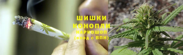крисы Армянск