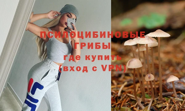 PSILOCYBIN Арсеньев