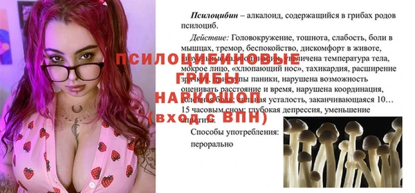 дживик Надым