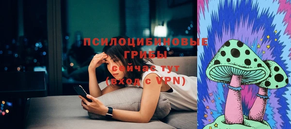 PSILOCYBIN Арсеньев