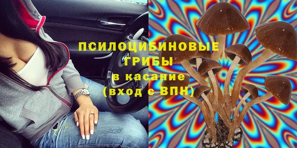 крисы Армянск