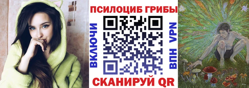купить наркотики сайты  Миллерово  Галлюциногенные грибы Magic Shrooms 